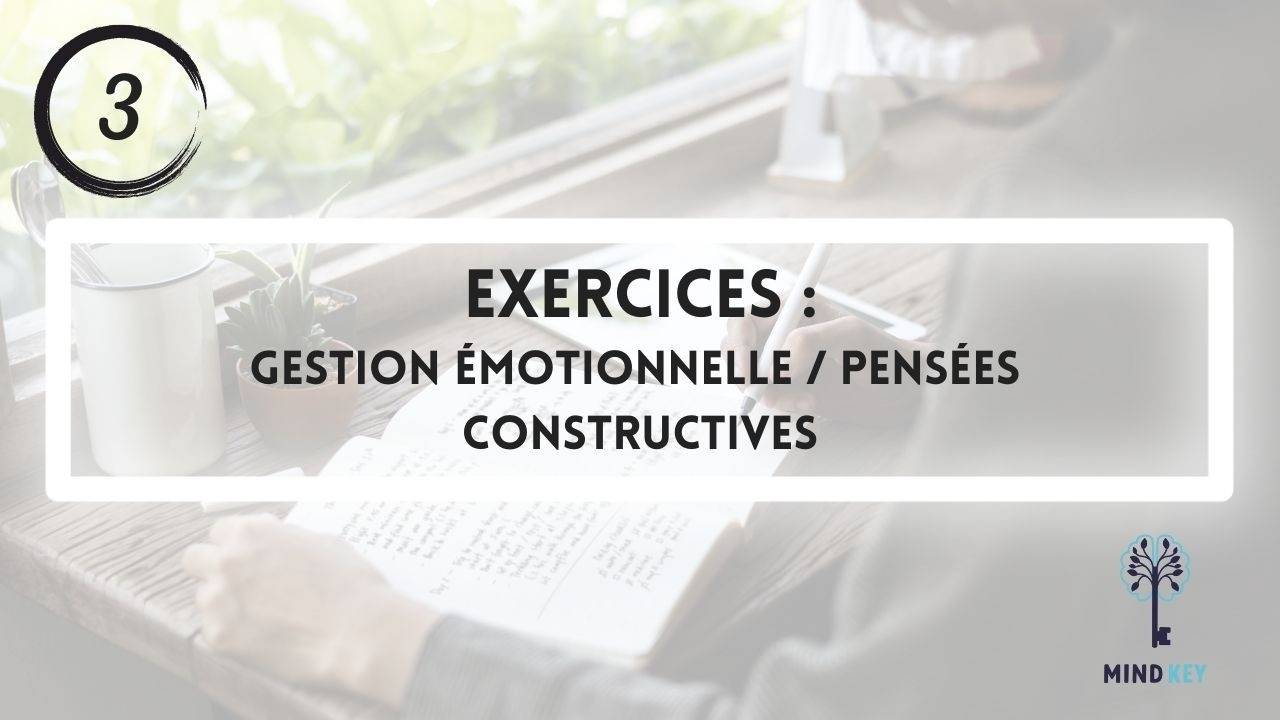 N°3 - Gestion émotionnelle, pensées constructives