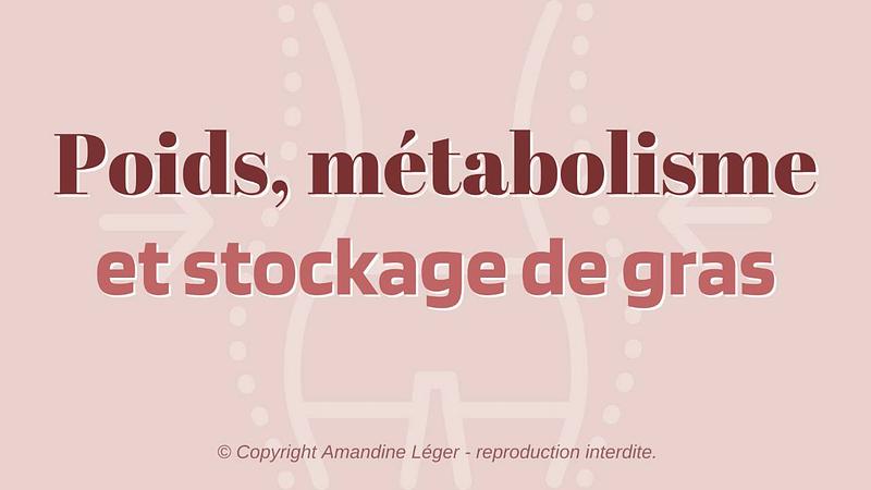 6/ Poids, métabolisme et stockage de gras