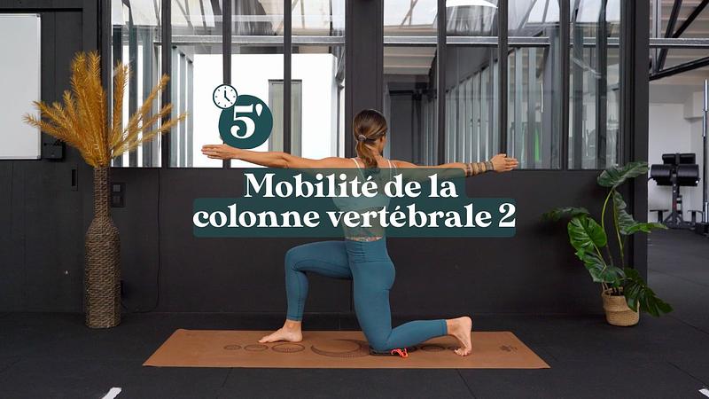 Mobilité de la colonne vertébrale n°2