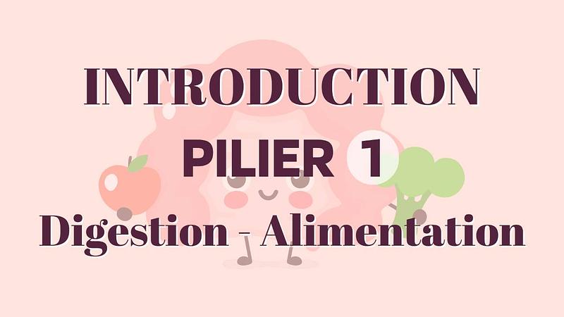 Introduction : Digestion et Alimentation