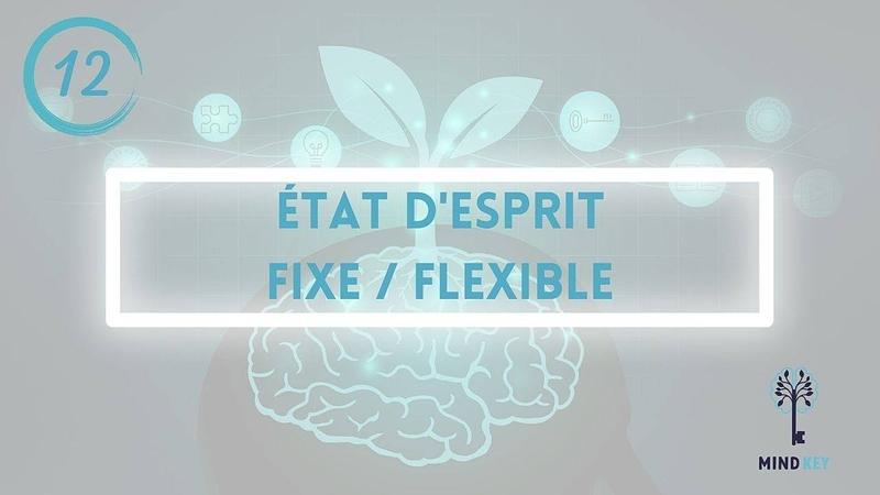 #12 - ETAT D'ESPRIT FIXE VS FLEXIBLE