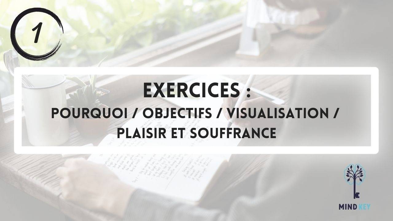 N°1 - Pourquoi, objectifs, visualisation, plaisir_souffrance