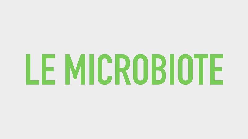 #14 Le microbiote