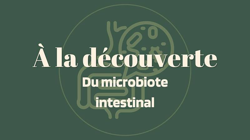2/ À la découverte du microbiote intestinal